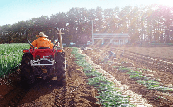 太陽の野菜畑 久慈ファーム