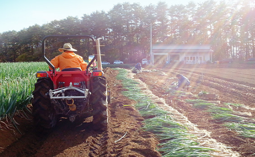 太陽の野菜畑 はるな農園